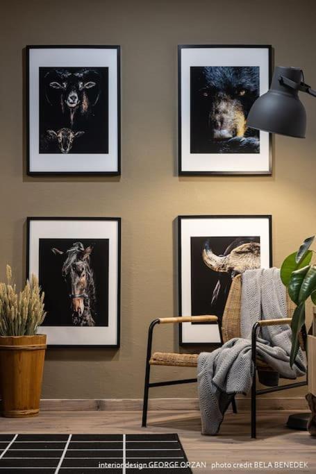 Casa269B - Cozy House With Scandinavian Design โมเอเชอ เด จอส ภายนอก รูปภาพ